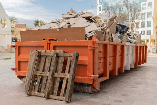 Best Electronics Removal Services  in Raoul, GA